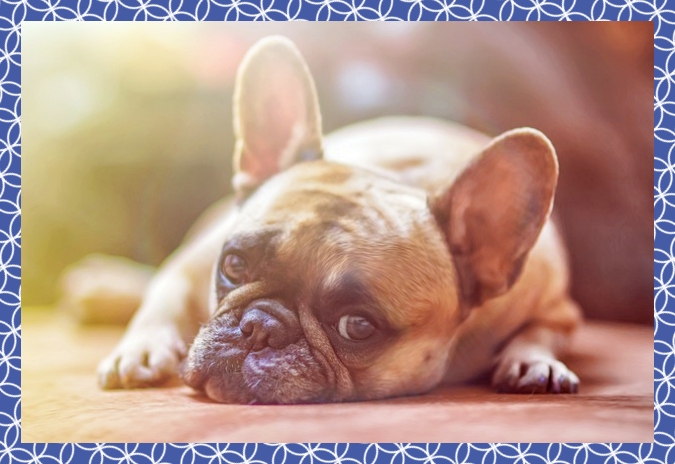 첨단3지구 호반써밋 84A1