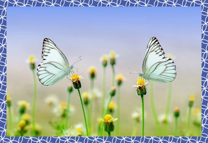 첨단3지구 호반써밋 84B