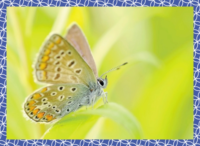 첨단3지구 호반써밋 84D