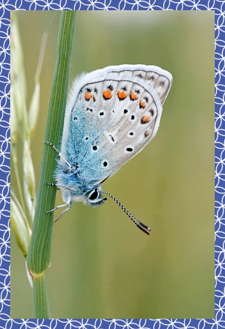 첨단3지구 호반써밋 94A