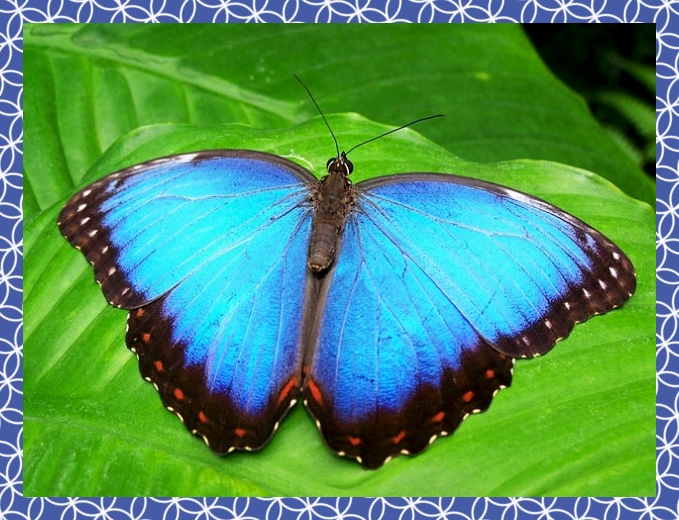 첨단3지구 호반써밋 94A2