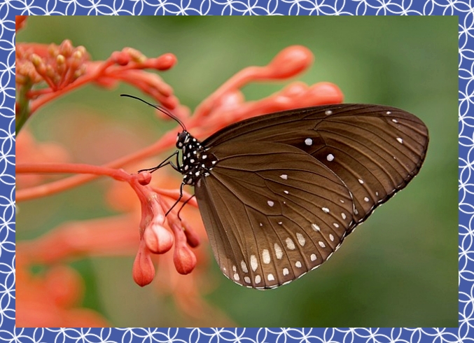 첨단3지구 호반써밋 94B