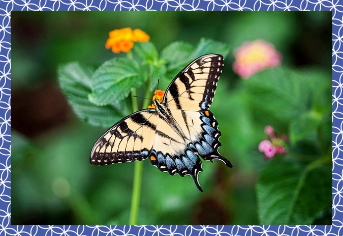 첨단3지구 호반써밋 94C2