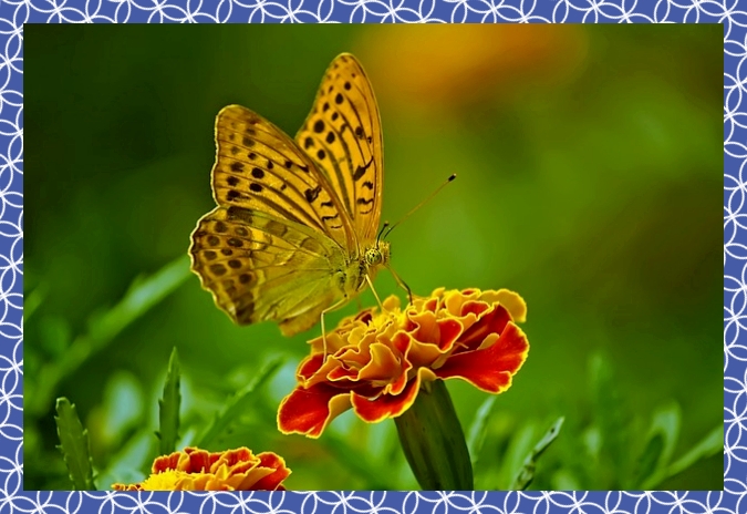 첨단3지구 호반써밋 101A1