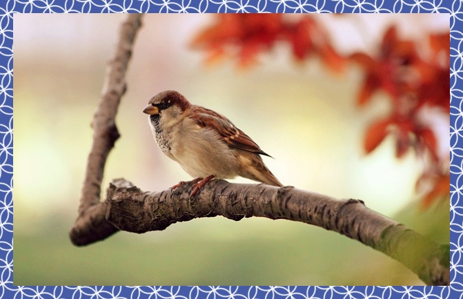 첨단3지구 호반써밋 장점3.jpg