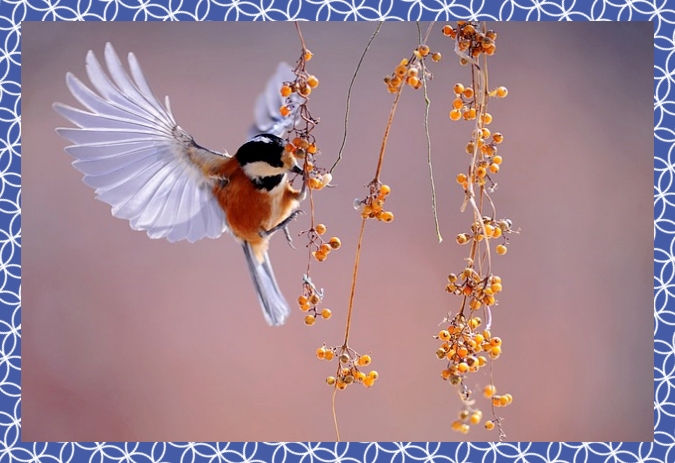 첨단3지구 호반써밋 장점4.jpg